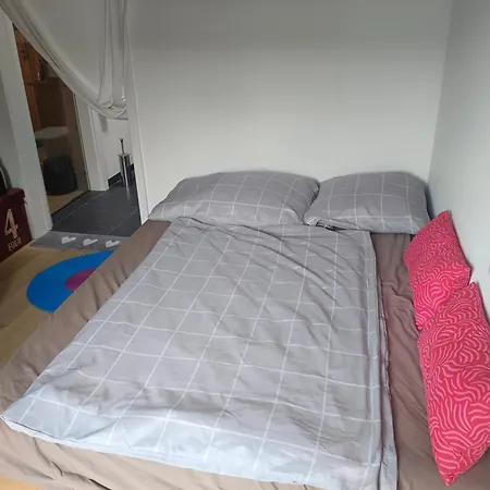 Guest With Private Shower And Toilet Near Salzburg Kuchl