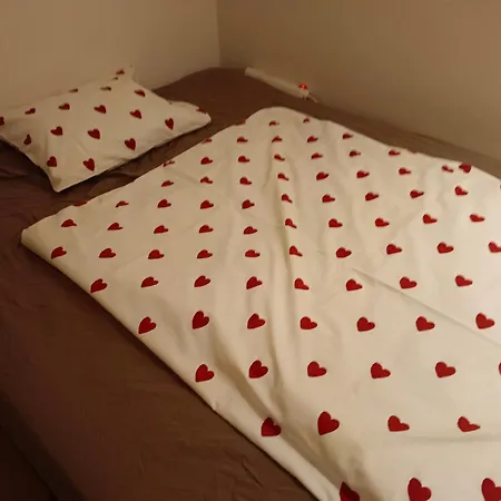 Privat bolig Guest With Private Shower And Toilet Near Salzburg Kuchl