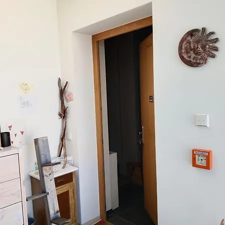 Guest With Private Shower And Toilet Near Salzburg Privat bolig *