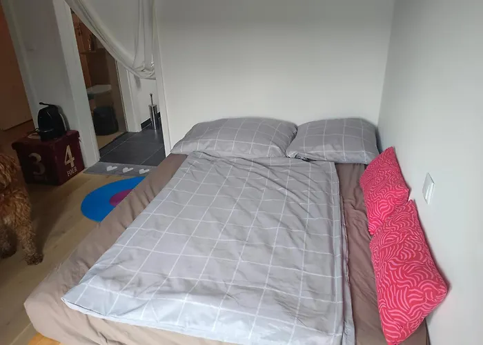 Guest With Private Shower And Toilet Near Salzburg Kuchl